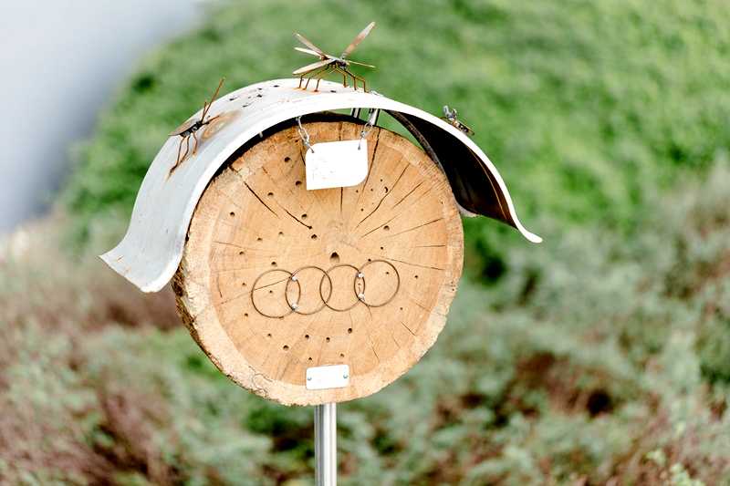 Audi i ekologia