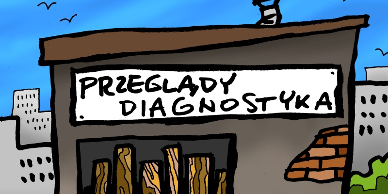 Diagnostyka wg Tomasza Wołoszyna