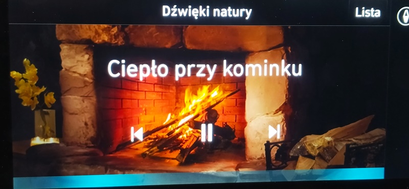 Wszystko gra czyli dźwięki w aucie